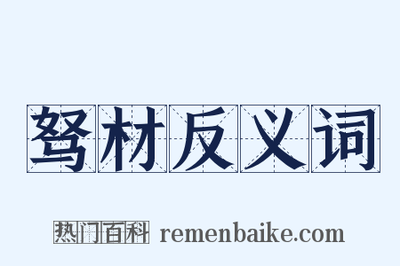 驽材反义词是什么意思的图片